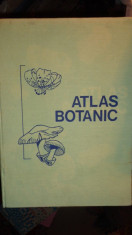 ATLAS BOTANIC AN 1994/214PAGINI- POPOVICI / MORUZI /TOMA foto