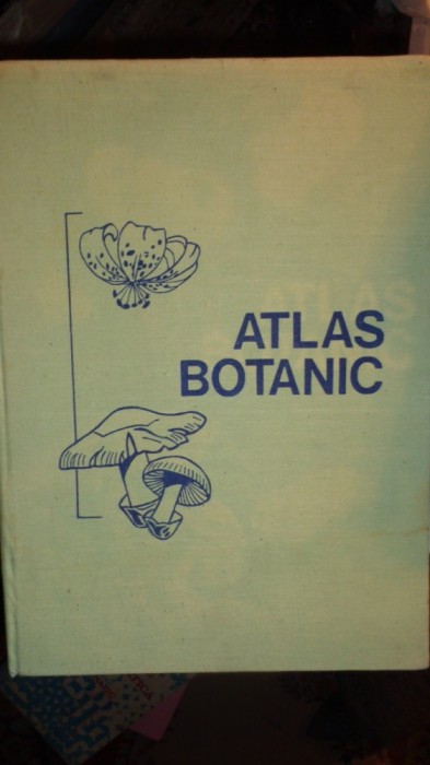 ATLAS BOTANIC AN 1994/214PAGINI- POPOVICI / MORUZI /TOMA foto mare ATLAS BOTANIC AN 1994/214PAGINI- POPOVICI / MORUZI /TOMA foto mare
