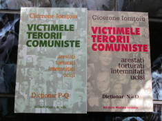 Victimele terorii comuniste - 2vol - Cicerone Ionitoiu foto