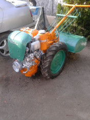 Motocultor Pasquali Diesel foto