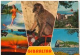 CPI B 10235 CARTE POSTALA - GIBRALTAR, MOZAIC, MAIMUTA,, Necirculata, Fotografie