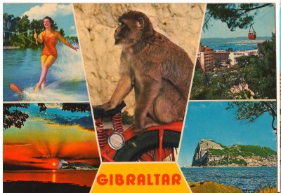 CPI B 10235 CARTE POSTALA - GIBRALTAR, MOZAIC, MAIMUTA, foto