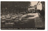 CPI B 10228 CARTE POSTALA - VARNA. GRADINA DE VARA, Necirculata, Fotografie