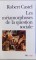 Foto  - 1