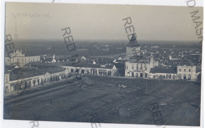 1222 - SALONTA, SYNAGOGUE &amp; Market, Romania - old postcard, real PHOTO - unused