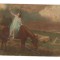 CPI B 10246 CARTE POSTALA - PEISAJ, CAL, AMAG