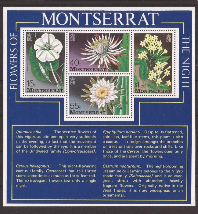 MONTSERRAT 1977 FLORA Mi. 12(dantelat) foto mare MONTSERRAT 1977 FLORA Mi. 12(dantelat) foto mare