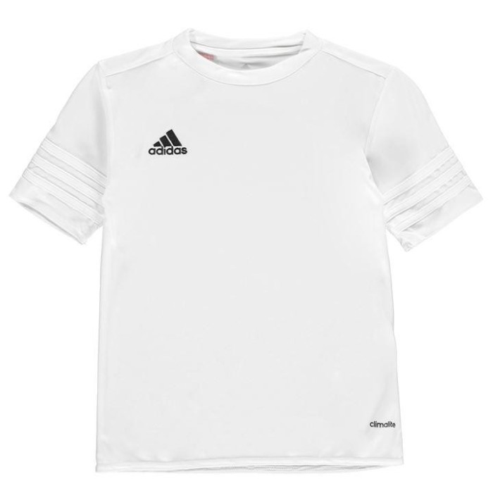 In STOC! Tricou Adidas Entrda 14 Alb - Original - Marimea L - Poliester In STOC! Tricou Adidas Entrda 14 Alb - Original - Marimea L - Poliester
