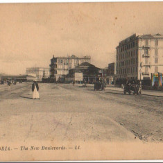 CPI B 10255 CARTE POSTALA - ALEXANDRIA. NOUL BULEVARD, EGIPT