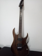 Ibanez RGIR20BE Iron Label foto