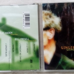 CD ORIGINAL: GINGER BAKER TRIO - GOING BACK HOME(w.BILL FRISELL & CHARLIE HADEN)