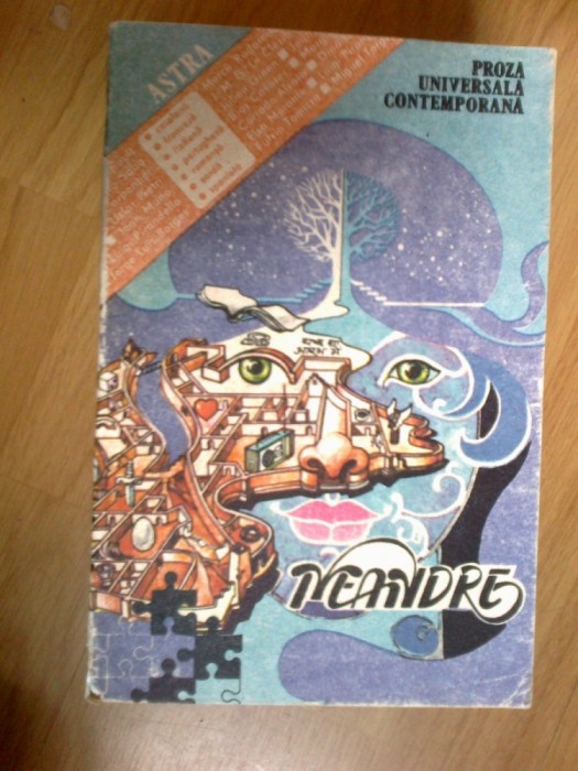w4 Meandre - Proza universala contemporana