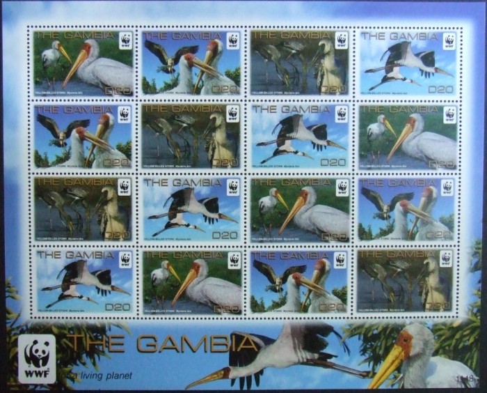 GAMBIA - WWF PELICANI, 4 X 4 V IN M/SH, NEOB. - CW 88 foto mare GAMBIA - WWF PELICANI, 4 X 4 V IN M/SH, NEOB. - CW 88 foto mare