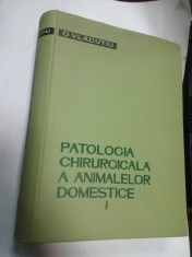 PATOLOGIA CHIRURGICALA A ANIMALELOR DOMESTICE - O. VLADUTIU - volumul 1 foto