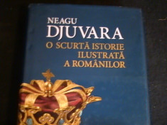 O SCURTA ISTORIE ILUSTRATA A ROMANILOR-NEAGU DJUVARA- foto