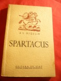 A.V.Misulin - Spartacus - Ed. de Stat 1953 , 181 pag + 2 harti, ilustratii