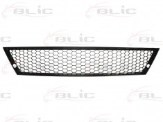 Grila bara SEAT IBIZA 06-08 foto