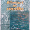 Bilanturi De Mediu - Nicu Mihai ,414819