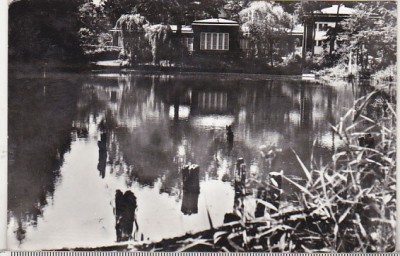 bnk cp Sovata - Lacul Negru - circulata foto