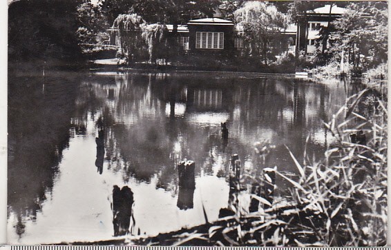 bnk cp Sovata - Lacul Negru - circulata