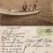 Movila (Dobrogea, Constanta) -Tipuri