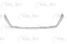 Ornament grila radiator Mercedes Sprinter CDI (8/2002-4/2006) foto