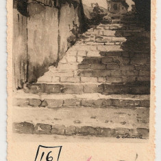 Romania - reproduceri de arta - lot 10 fotografii tip carte postala