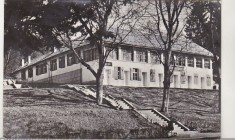 bnk cp Bazna - Vedere - circulata