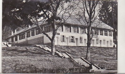 bnk cp Bazna - Vedere - circulata foto