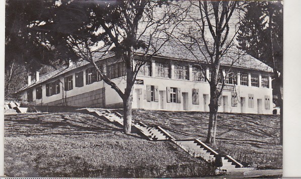 bnk cp Bazna - Vedere - circulata