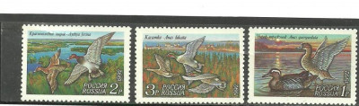 Rusia 1992 - RATE SI GASTE SALBATICE, serie MNH, T12 foto