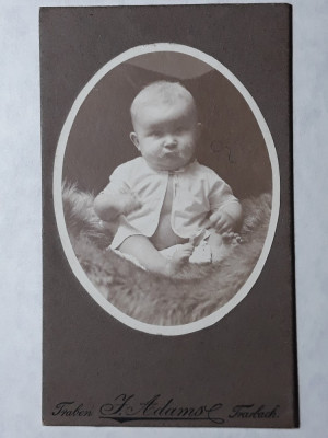 FOTOGRAFIE VECHE - COPIL MIC - BEBE - INCEPUT DE 1900 foto