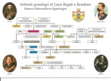 (A)carte postala(ilustrata)-CASA REGALA A ROMANIEI -Arborele genealogic, Necirculata, Fotografie