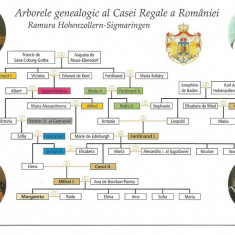 (A)carte postala(ilustrata)-CASA REGALA A ROMANIEI -Arborele genealogic