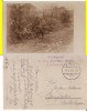 Tipuri -militara, WWI, WK1- Rara, Circulata, Printata
