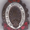 Insigna CCS Al-IV-lea Concurs Artistic al Sindicatelor 1956