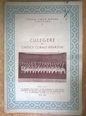 Culegere de cantece corale banatene {1955-1956} foto
