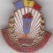 Insigna instructor Sportiv UCFS