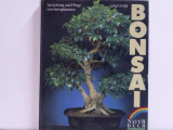 Luigi Crespi - Bonsai. Gestaltung und Pflege von Zwergbaumen