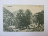 Carte postala necirculata Petroseni/Paius anii 20, Printata, Petrosani