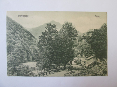 Carte postala necirculata Petroseni/Paius anii 20 foto