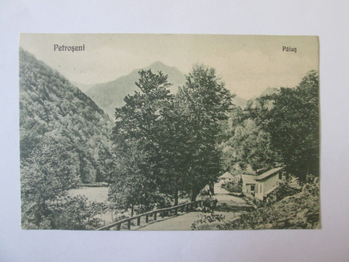 Carte postala necirculata Petroseni/Paius anii 20