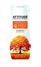 Sampon Bio Attitude pentru protectia culorii 355 ml foto