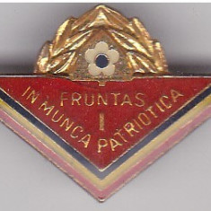 Insigna Fruntas in Munca Patriotica I