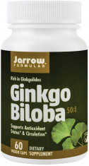 Ginkgo biloba 60cps Secom foto