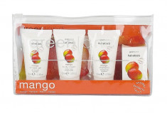 Set Ingrijire Greenland cu Mango: Gel de Dus Lotiune de Corp Sampon foto