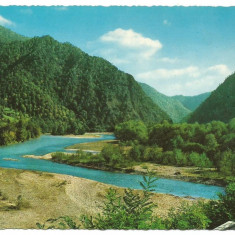 (A) carte postala(1140/1)-KRUGER-Arges-Valea Oltului