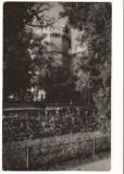 CPI B 10391 - CARTE POSTALA - TIMISOARA. MUZEUL REGIONAL, RPR, Necirculata, Fotografie