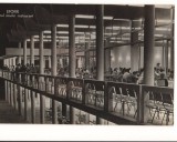 CPI B 10364 - CARTE POSTALA - EFORIE. SALONUL NOULUI RESTAURANT, RPR