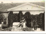 CPI B 10376 - CARTE POSTALA - LENAUHEIM. MONUMENTUL LUI LENAU, Circulata, Fotografie